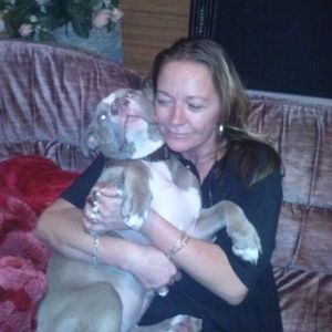 Meet your Posher, Annitude